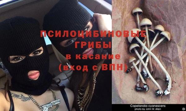 синтетический гашиш Абдулино
